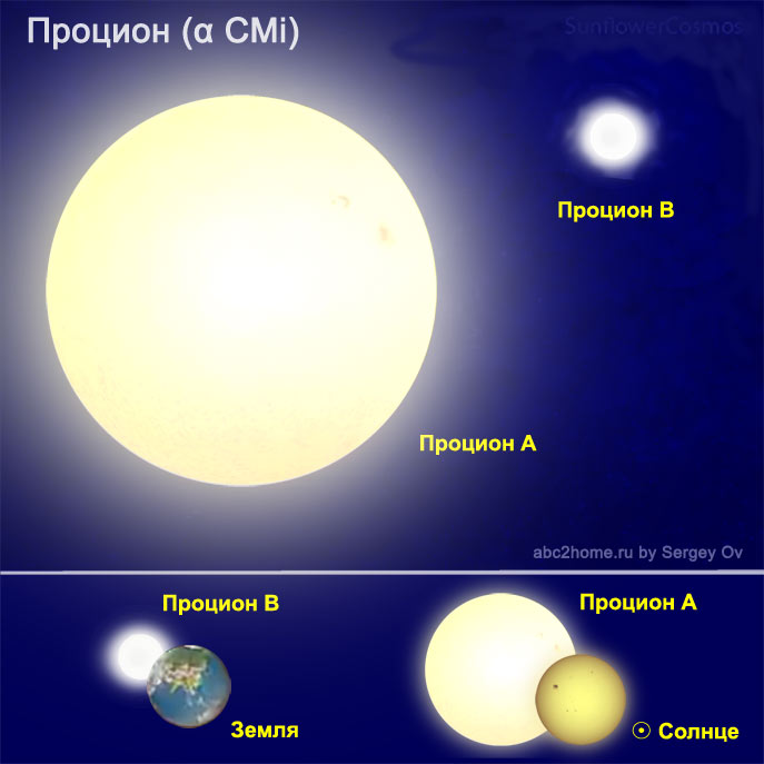 Процион, созвездие Малый Пес, рис. 3.CMi